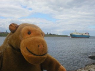 Mr Monkey watching a cargo ship
