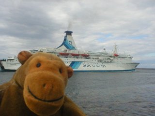 Mr Monkey watching a ferry