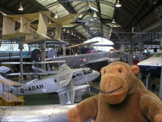 Mr Monkey overlooking the flight gallery