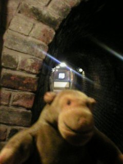 Mr Monkey in a Victorian sewer