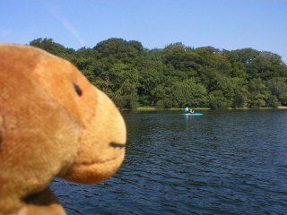 Mr Monkey watches a canoe