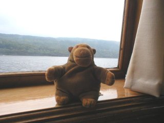 Mr Monkey in the first class cabin