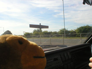 Mr Monkey spotting the Angel of the North from the car