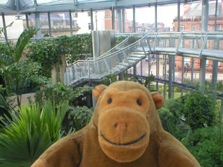 Mr Monkey in Sunderland Winter Gardens