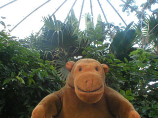 Mr Monkey beneath the dome of Sunderland Winter Gardens