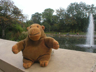 Mr Monkey beside the lake in Mowbray Gardens