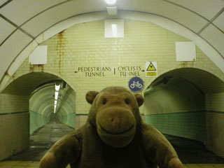 Mr Monkey in front of the two tunnels
