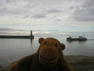 Mr Monkey watching a ship enter the Tyne