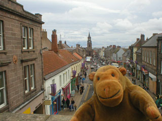 Mr Monkey looking at Berwick market from the ramparts