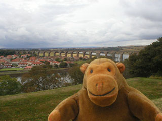 Mr Monkey looking at the viaduct