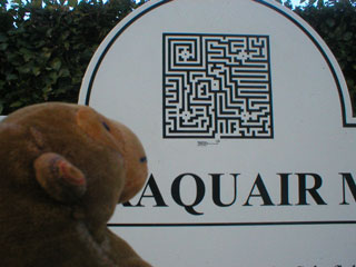Mr Monkey looking at the Traquair House maze sign