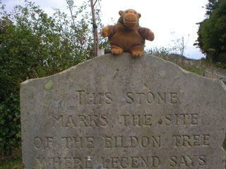 Mr Monkey atop the Rhymer's stone