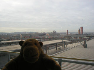 Mr Monkey viewing Leeds from the station