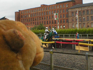 Mr Monkey watching two knights jousting