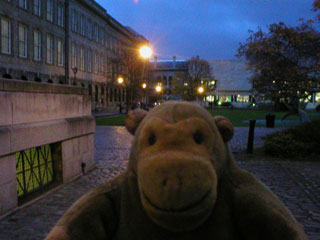 Mr Monkey at Trinity College, at dusk
