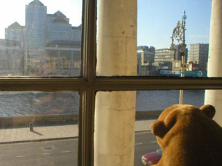 Mr Monkey looking out of the Customs House