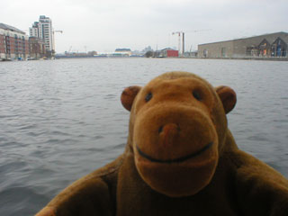 Mr Monkey on the water