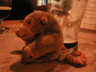 Mr Monkey napping beside an empty pint glass