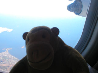 Mr Monkey looking out of the plane window