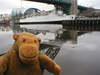 Mr Monkey watching a sheet of ice go under the Tyne bridge