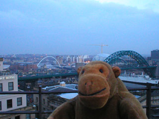 Mr Monkey looking at the Tyne bridges from the roof of the Keep