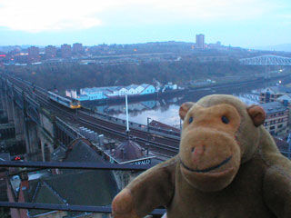 Mr Monkey watching a train cross the High Level bridge