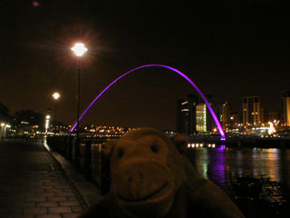 Mr Monkey and the Millenium Bridge by night