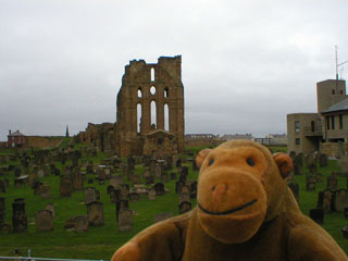 Mr Monkey looking back across the graveyard to the priory