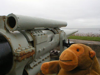 Mr Monkey with a large and rather rusty artillery piece