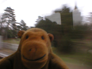 Mr Monkey looking out of the window on the way to Ipswich