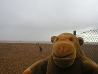 Mr Monkey on a shingle beach with a collapsing fence