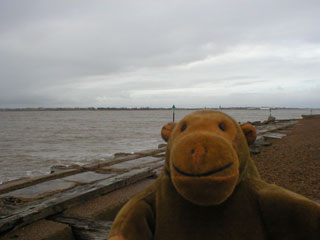 Mr Monkey beside the sea