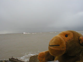 Mr Monkey watching a lifeboat