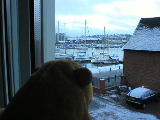 Mr Monkey looking out of his window at snow on the Quayside