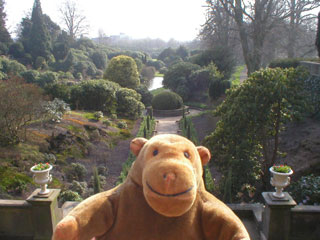 Mr Monkey looking towards the Italian gardens
