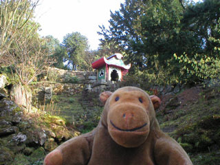 Mr Monkey looking up toward the Joss House