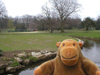 Mr Monkey by a stream in the Pavilion Gardens