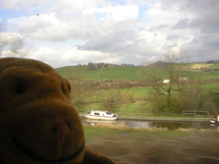 Mr Monkey looking out of the train on the way home