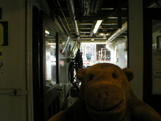 Mr Monkey aboard the ferry