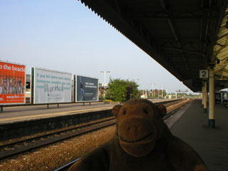 Mr Monkey on Taunton station platform