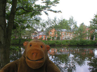 Mr Monkey looking over the water in the Wilton Lands