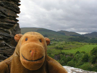 Mr Monkey atop Dolwyddelan castle, looking across the valley