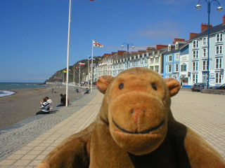 Mr Monkey on the promenade