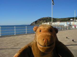 Mr Monkey in front of the Cornish flag on the promenade