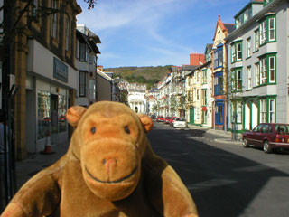 Mr Monkey looking to the hills above Aberystwyth