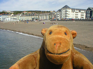 Mr Monkey looking at the prom from the jetty