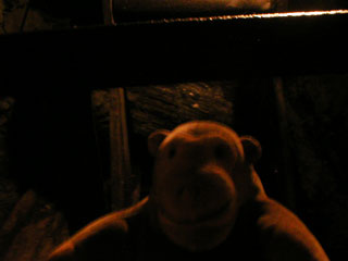 Mr Monkey in a lead mine tunnel