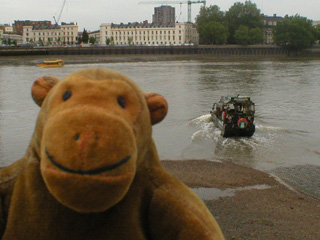 Mr Monkey watching a green DUKW go into the river