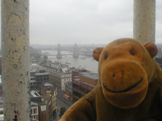 Mr Monkey looking towards Tower Bridge from the Monument