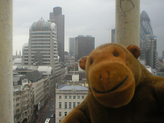 Mr Monkey looking from the Monument